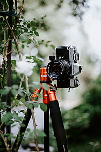 selective focus photography of mirrorless camera on top tripod on outdoors thumbnail