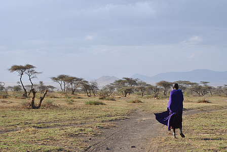 person walking on road during daytime thumbnail