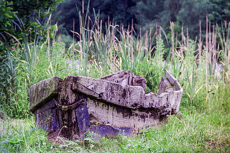 wooden boat surrounded by grass thumbnail