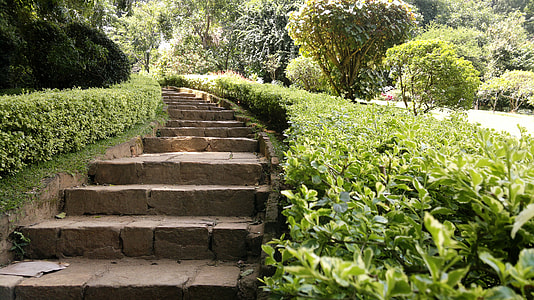 green leafed plants beside brown concrete stair thumbnail