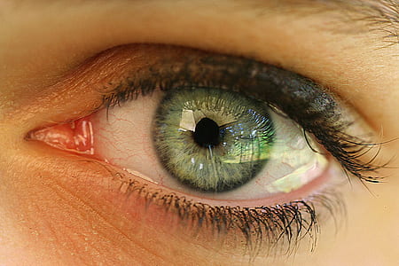 green eyes thumbnail