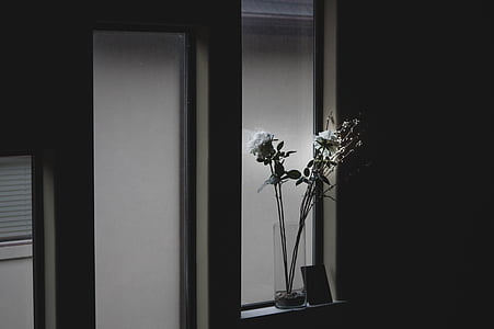 flowers in vase near open window thumbnail