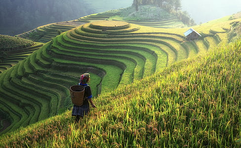 person standing on green grass field thumbnail