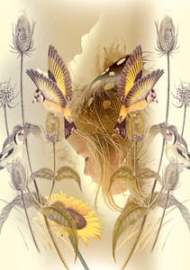 flock of European goldfinch birds flying near sunflower thumbnail