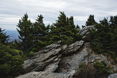 landscape photography of mountains with trees thumbnail