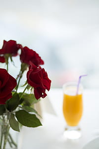 Selective-focus Photo of Red Roses thumbnail