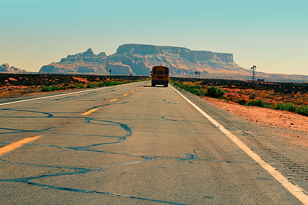 yellow bus on road between bushes under blue sky during daytime thumbnail