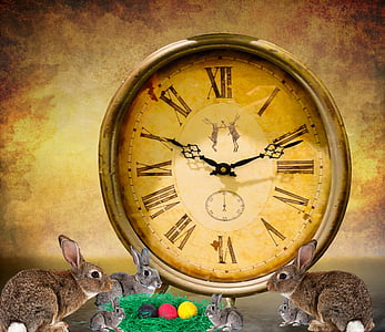 analog clock displaying 10:11 time in front of rabbits edited photo thumbnail
