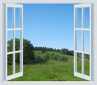 white wood-framed glass 2-door window with green trees thumbnail