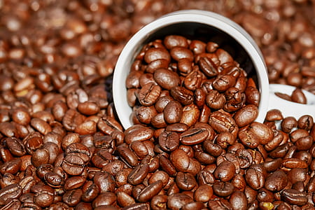 white ceramic mug on coffee beans thumbnail
