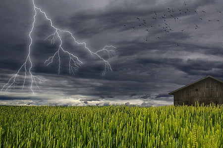 brown house beside field of green leaf plant with lightning thumbnail