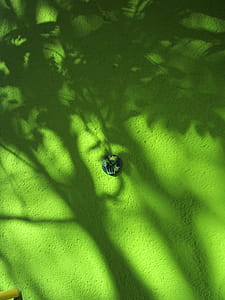 Round Green and White Button thumbnail
