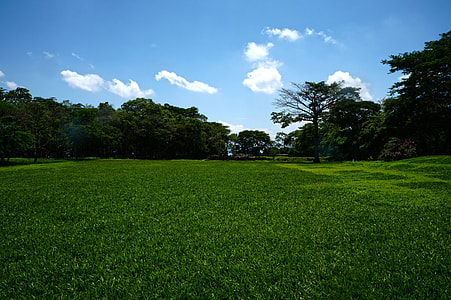 photography grass field thumbnail