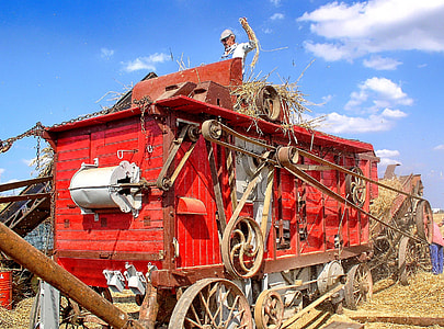Ancient Trades, Wheat thumbnail