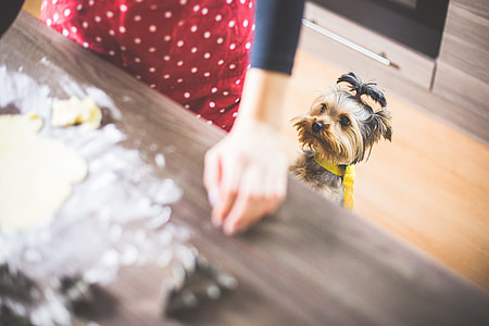 Christmas Baking: Our Little Helper thumbnail
