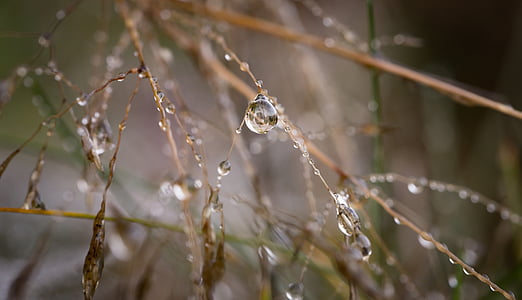 water droplets on grass thumbnail