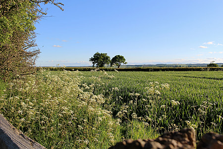 English Countryside, Yorkshire Moors thumbnail