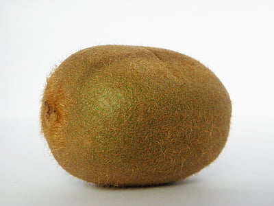 kiwi fruit thumbnail