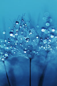 tilt shift lens photography of water droplets thumbnail