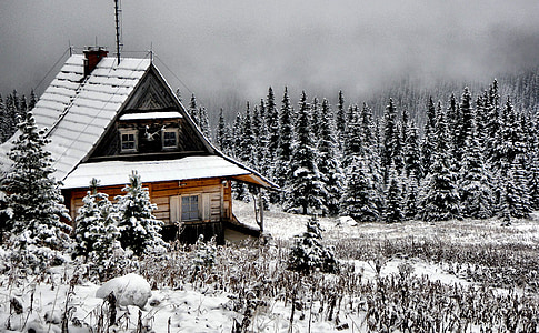 white and brown wooden house thumbnail