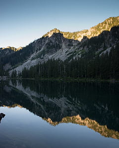 landscape, nature, water, trees thumbnail