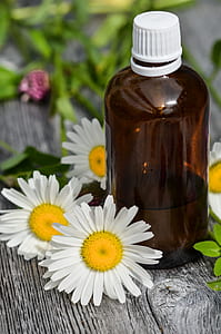 white daisy thumbnail