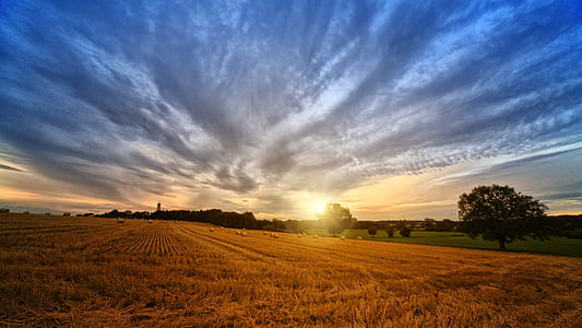 brown farm field during sunset thumbnail