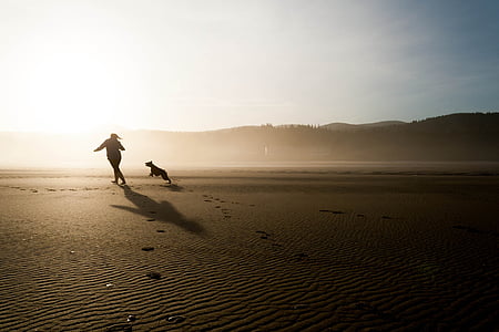 silhouette of woman and dog running on open field at daytime thumbnail