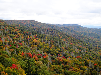 Indian Summer, Great Smoky Mountains thumbnail