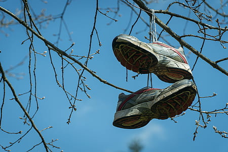 sky, flowers, branches, shoes thumbnail