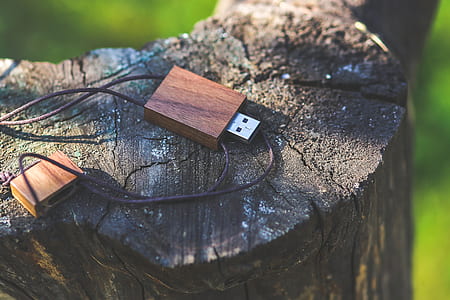brown USB flash drive placed on green tree stump thumbnail