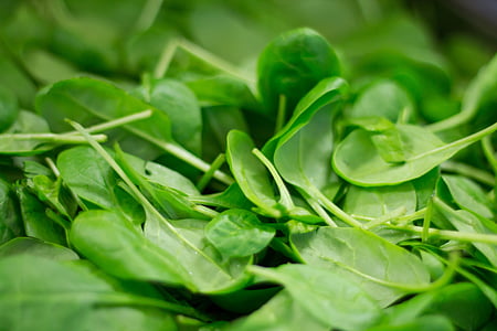 green leaf vegetable thumbnail