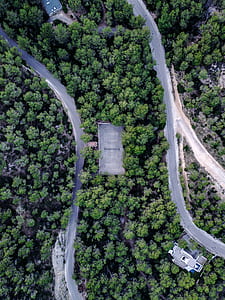 aerial photography of gray concrete roads surrounded by trees thumbnail