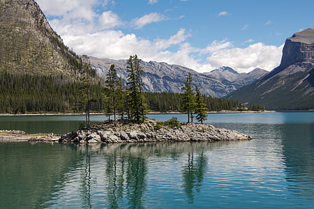 green leaf trees near body of water under clear sky during daytime thumbnail