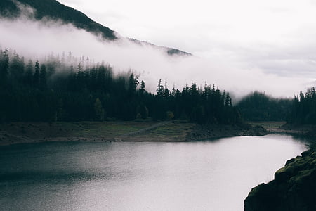 body of water near trees during daytime thumbnail