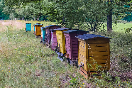 assorted-color shed lot thumbnail