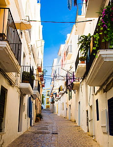 narrow road under daytime thumbnail