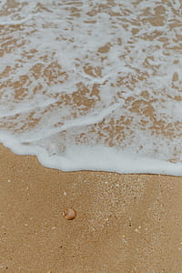 Sand beach background with sea shells & pebbles - many round small stones thumbnail