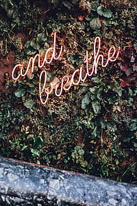 and breathe neon signage mounted on wall with vines thumbnail