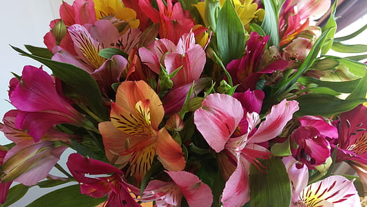 pink and orange artificial flowers thumbnail