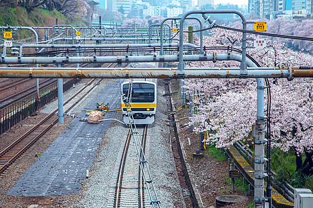 white and yellow train on rail thumbnail