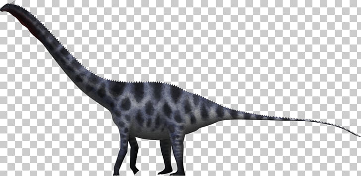 supersaurus dinosaur size seismosaurus