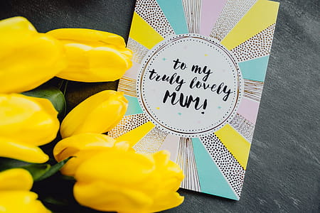 Mother`s Day card with colorful tulip flowers thumbnail
