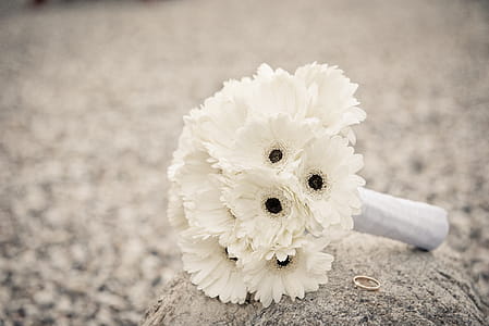 Bouquet Of White Flowers thumbnail