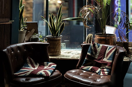 two tufted brown leather empty chairs thumbnail