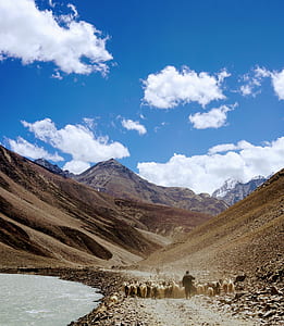 person shepherding herd of goat near body of water in middle of mountains thumbnail