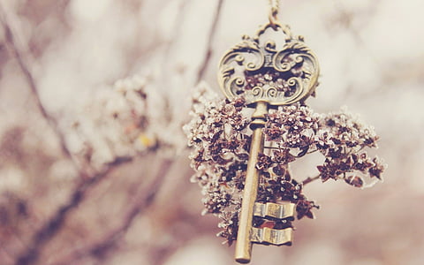 brass-colored skeleton key thumbnail