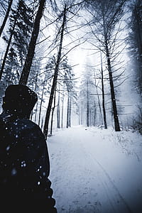 man standing on tundra surrounded with trees thumbnail