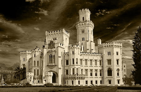 mansion beside trees thumbnail