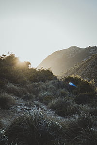 green grass field near mountain range thumbnail